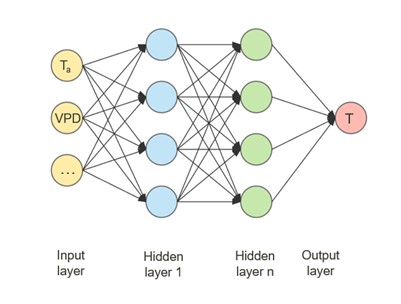 Predicting vegetation transpiration from sap flow measurements using Machine Learning